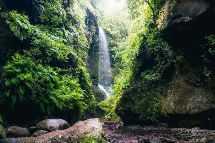 Lanzan el Bono Turístico La Palma: pagas la mitad y disfrutas el doble en experiencias y servicios