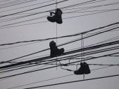 Liberan a colonias Narvarte I y Narvarte IV de “arañas” de cables en desuso