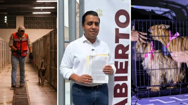 ‘Están vivos’, afirma edil de Santa Catarina sobre presunto sacrificio de animales