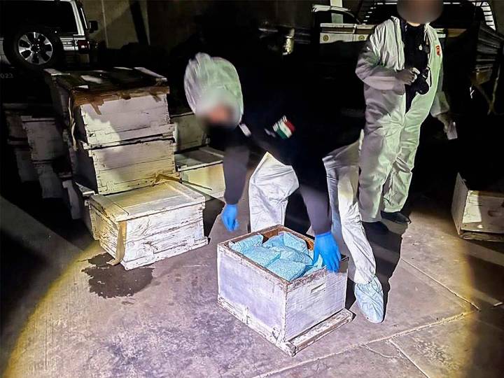 Asegura gabinete de seguridad fentanilo en Sonora