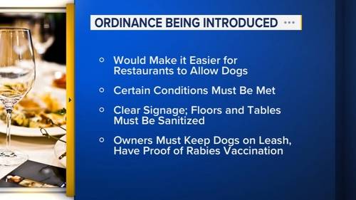 Alderman Timmy Knudsen pushing to make it easier for Chicago restaurants to be dog friendly