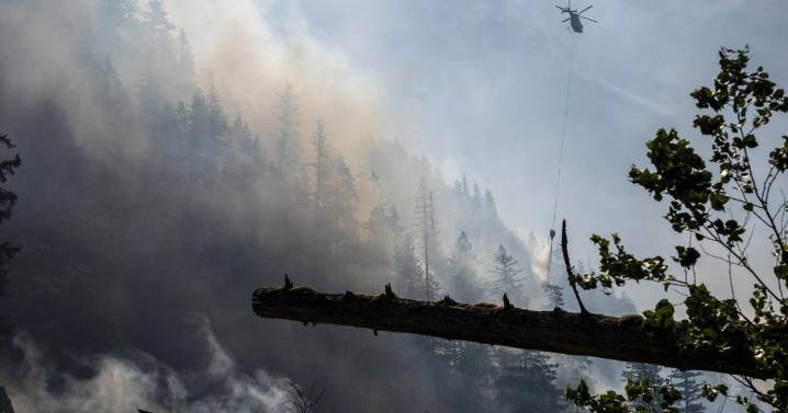 Canada's 2030 emissions target is out of reach after progress stalled in 2024: report