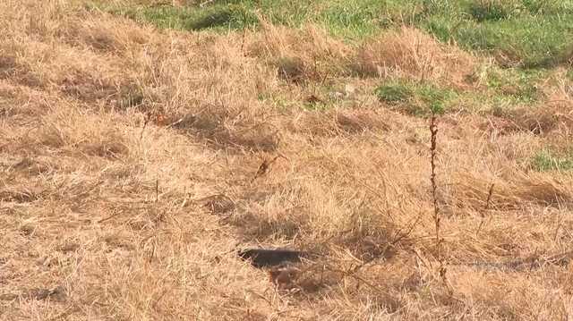 Some New Hampshire wells running dry as drought conditions worsen