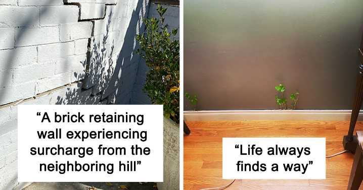 28 ‘Nightmares’ And ‘Miracles’ Discovered During Structural Inspections
