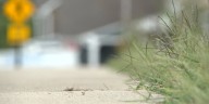 Sour cream, syrup and toilet paper: Why local police are warning about ‘class wars’ in Sumner County