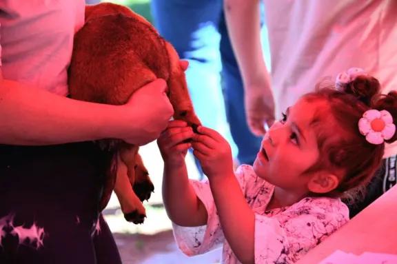 Exitosa feria de adopciones: los 25 animales encontraron familia en menos de una hora