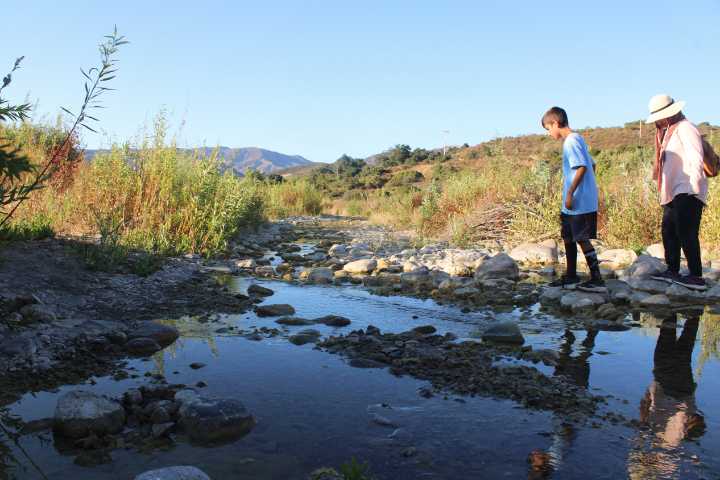 Free Things to Do: Scenic Hikes and Family Storytime