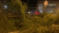 Una intensa tormenta con granizo y fuerte viento deja árboles caídos y cortes de luz en Binéfar