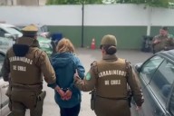 Había huido con la imputada: encuentran perro de familia víctima de doble parricidio en Chiguayante