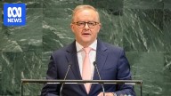 Anthony Albanese joins nine world leaders recognising Palestinian statehood at historic UN summit