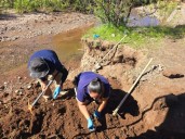 FGE da seguimiento a trabajos de rastreo en Carichí