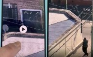 Impactante: el video con la ráfaga de tiros tras el asalto armado a una farmacia de La Plata
