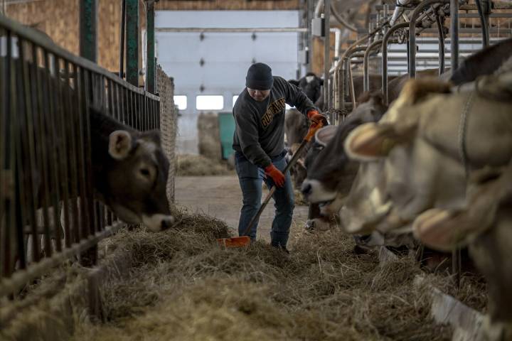 Yes, Canada should (mostly) end our temporary foreign worker programs