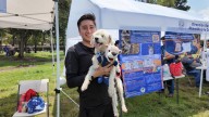 Inicia Jornada Solidaria en la UNAM para donar sangre o adoptar perros