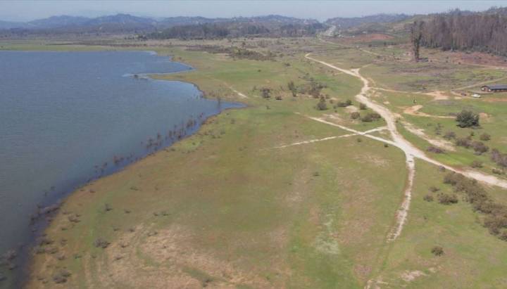 Avanza proceso de reforestación en Reserva del Lago Peñuelas