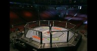 Mixed Martial Arts: A New Kind of Fight