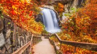 A Complete Guide To The Perfect Fall Weekend In Asheville
