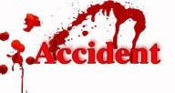 5 Dies as speeding Thar loses control, hits divider