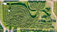 USA Today corn maze rankings names Maine farm best for fourth year in a row