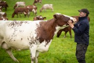 James Robinson: A fifth-generation farmer on the ups and downs of 'the most glorious job in the world'