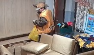Sorprenden a ladrón dentro de vivienda en Lince: familia asegura dormir armada para protegerse