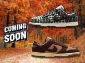 Nike has transformed its iconic Dunk Low with a fabric that’s been worn by royalty and Hollywood legends
