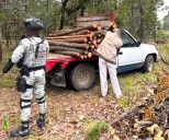 Aseguran madera producto de tala ilegal