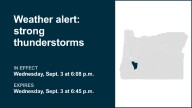 Thunderstorms with pea-sized hail in Eastern Douglas County Foothills Wednesday – gusts to hit 30 mph