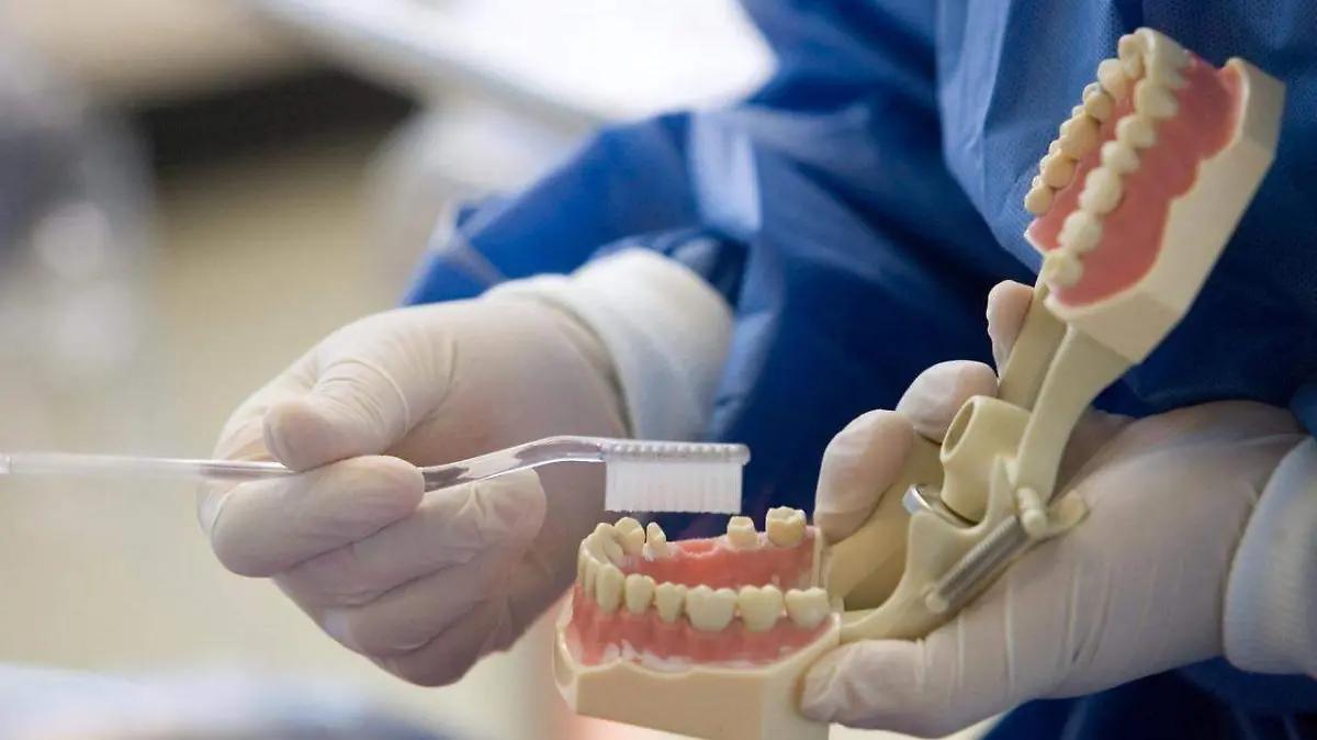 Dentista gratis en Tampico: anuncian jornada de limpiezas, extracciones y más sin costo
