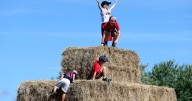 Fall fun: Massachusetts destinations make USA Today lists of best apple orchards, corn mazes and festivals