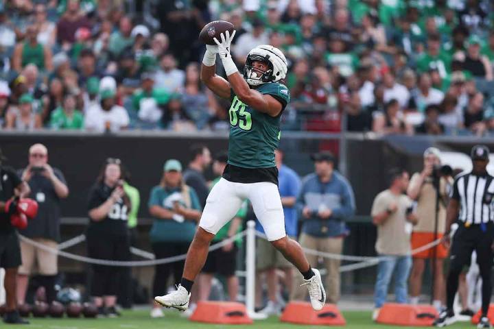 Raiders elevate two tight ends amid Michael Mayer injury