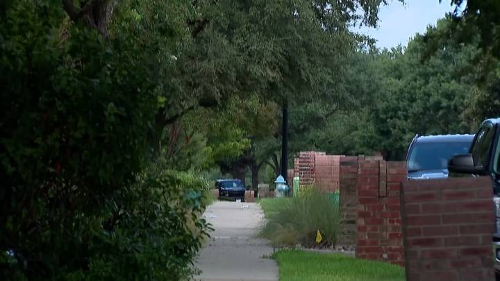 Plano neighbors push back after dog attack leaves woman injured