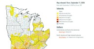 Burn ban in effect for Murray/Calloway as county enters severe stage of drought