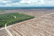 Bruselas aplaza por otro año la ley pionera de la UE contra la deforestación mundial