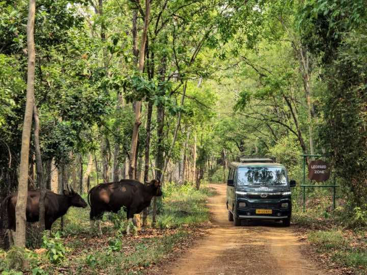 Sustainable transformation in tourism the way forward