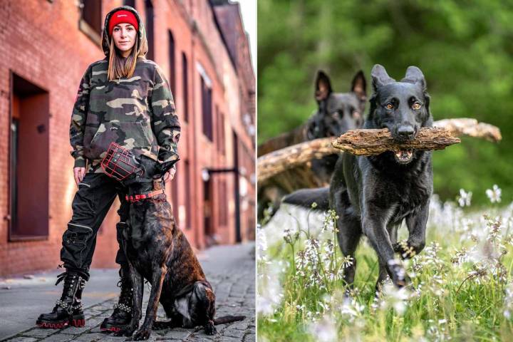 Woman Who Lives with Working Dogs Shares 'Controversial' Rules for Pets (Exclusive)