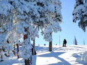Colorado ski resort opening dates for 2025