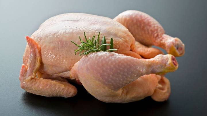 ¿Qué parte del pollo tiene más proteínas?