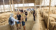 Delincuencia golpea sector turismo en la región La Libertad