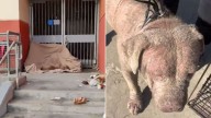 Motionless Figure On A Tarp Near A California Metro Stairwell Hides A Heartbreaking Truth