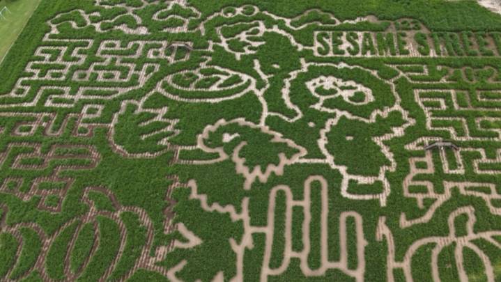 La Union Maze to celebrate iconic childhood show, Sesame Street
