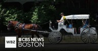 New York City bill could end horse-drawn carriages in Central Park
