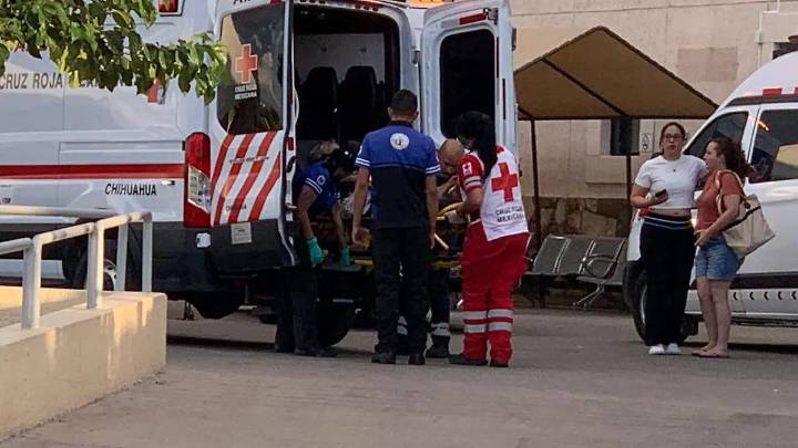 Serpiente muerde a hombre en Riberas de Sacramento