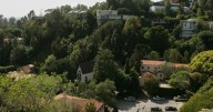 Most searched neighborhoods and why they're trending