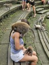 Horror as monkey bites girl, 12, on the NECK leaving her needing rabies injections after attack in hols hotspot