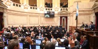 Uno por uno: cómo votaron los senadores el rechazo al veto de la ley de emergencia en discapacidad