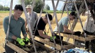 College students from Arizona selected for WWII recovery mission in Poland