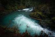 Washington National forests threatened by new federal rulemaking, attorney general says