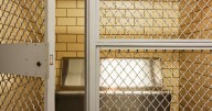 Texas mom charged in children's deaths says they climbed into hot car while she slept, investigators say