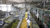 Micro, pequeñas y medianas industrias constituyen 70 % de la producción nacional